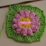 Aplicacion Margarita Tutorial 1