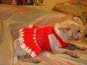 Ahora Little con su vestidito